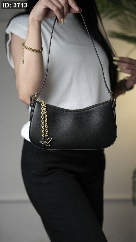 حقيبة Louis Vuitton / شامل علبة الشركة
